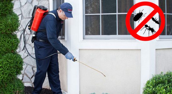 Kaş Hamam Böceği İlaçlama böcek ilaçlama ve haşere kontrolü — ilaclama-tr.com